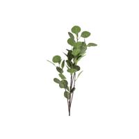 Kunsttak Eucalyptus groen 17xH90cm Kunsttak Eucalyptus groen 17xH90cm