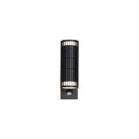 Searchlight WandlampDetroit zwart met sensor - 37739BK-PIR