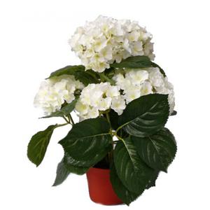 Mooie kunstplant met bloemen - Hortensia - wit - H36 cm - Dia 10 cm