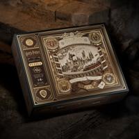 Harry Potter Multidimensionale Puzzel Van Zweinstein 1000 stuks Harry Potter Multidimensionale Puzzel Van Zweinstein 1000 stuks