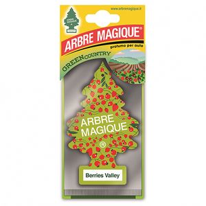 Arbre Magique Berries Valley Luchtverfrisser 4162066