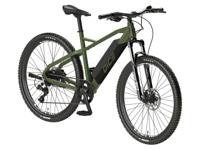 Prophete Elektrische mountainbike DICE 1.0