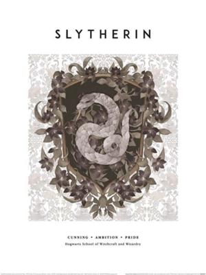 Kunstdruk Harry Potter Slytherin 30x40cm