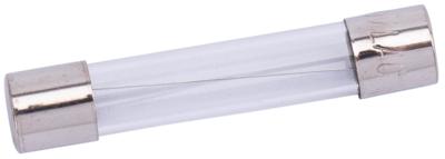 SPAHN glass fuses 10a 6x32 mm (10pcs)