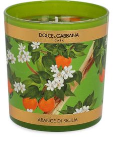 Dolce & Gabbana bougie Sicilian Orange à fleurs (250g) - Vert