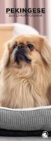 Pekingees Slimline Kalender 2026
