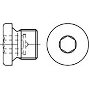 TOOLCRAFT TO-6855792 Sluitschroeven 1 1/8 Zoll Binnenzeskant (inbus) DIN 908 Staal 10 stuk(s)