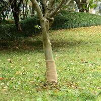 VidaXL Jute rol 200 g/m² 0,25x25 m 100% jute