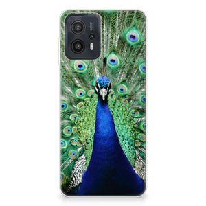 Motorola Moto G23 | G13 TPU Hoesje Pauw