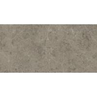Atlas Concorde Marvel Meraviglia AJIU vloertegel 60x120cm 9mm mat ret.R10 grigio eleg.
