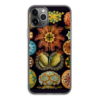 Haeckel Ascidiae: iPhone 11 Pro Transparant Hoesje