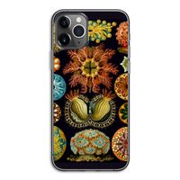 Haeckel Ascidiae: iPhone 11 Pro Transparant Hoesje