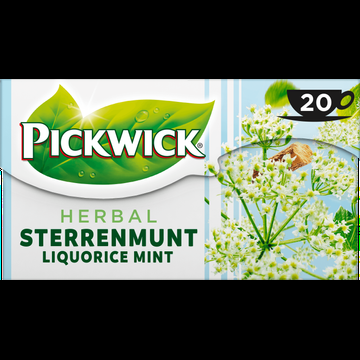 Pickwick Sterrenmunt Kruiden Thee 20 Stuks bij Jumbo
