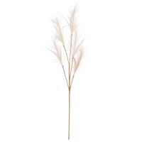 Pluimgras losse steel/tak - meerdere stengels - creme wit - 98 cm - Decoratie kunst pluimen