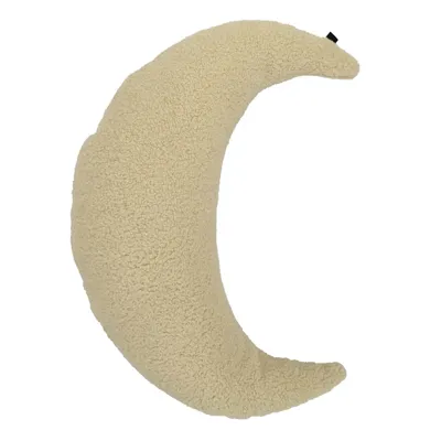 Kussen Teddy Maan
