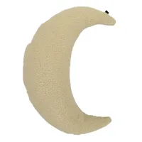 Kussen Teddy Maan