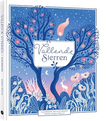 Vallende sterren (Hardback)