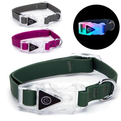 Hondenhalsband met licht in gesp 40 cm