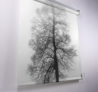 rolgordijnen bomen print Grijsschaal