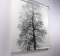 rolgordijnen bomen print Grijsschaal