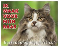 Noorse Boskat Waakbord Noorse Boskat Waakbord