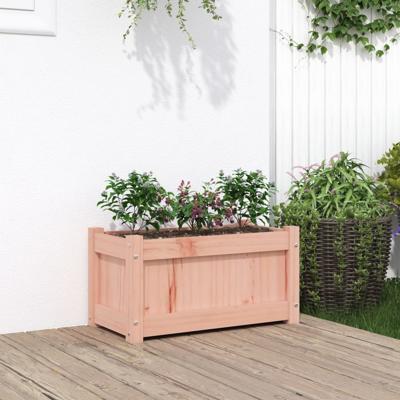 VidaXL Plantenbak 60x31x31 cm massief douglashout