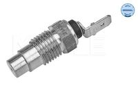 Temperatuursensor 36148210003