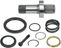 Steekas, differentiaal 1004980247