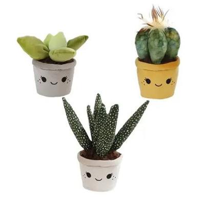 Plant pluche L 3ass 19-27 cm - Van der leeden