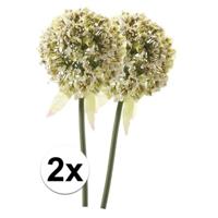 Kunstbloem - 2x - Sierui / Allium - wit/groen - 70 cm - kunststof decoratie