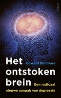 Het ontstoken brein - Edward Bullmore - eBook (9789044638868) - thumbnail