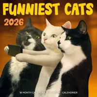 Funniest Cats Kalender 2026