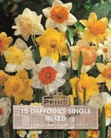 Prins narcis daffodils enkel mix 15 bollen