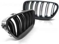 Tuning-Tec Grill BMW F10 / F11 10-16 M5 LOOK MAT ZWART - thumbnail