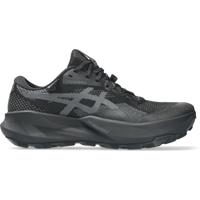ASICS GEL-Trabuco 14 GTX Dames