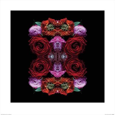 Kunstdruk Alyson Fennell - Paradise of Petals 60x60cm