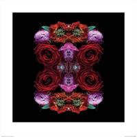 Kunstdruk Alyson Fennell - Paradise of Petals 60x60cm