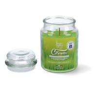 Kaars Magic Lights 8030650530505 Citronella 510 ml