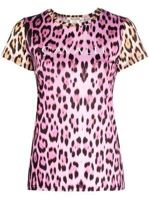 Roberto Cavalli t-shirt à imprimé léopard - Rose