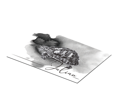 Schildpadden placemats Schildpad illustratie met naam