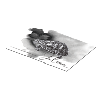 Schildpadden placemats Schildpad illustratie met naam Schildpadden placemats Schildpad illustratie met naam