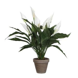 Mica Decorations Kunstplant - spathiphyllum lepelplant - wit - 50 cm   -