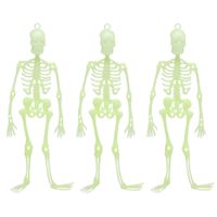 Halloween/horror thema hang decoraties - 3x stuks - skeletten - glow in the dark - 30 cm