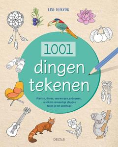 1001 dingen tekenen (Paperback)