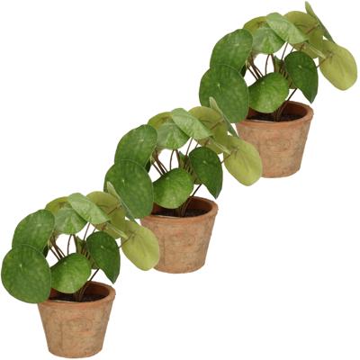Emerald Kunstplant pilea/pannekoekplant - 3x stuks - groen - in pot - 25 cm - kamerplant