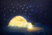 Led Indoor Canvas 38X58Cm 42 Fiber Optic Stars + Lighte - Annas collection