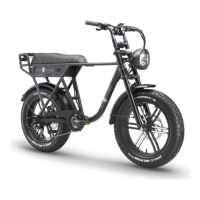 Ape Ryder A10 Pro Fatbike Zwart - 25KM/H - Elektrische Scooter