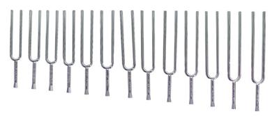 Wittner 924440-13 13-delige stemvorkset