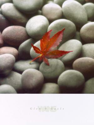 Kunstdruk Glen & Gale Wans - Leaf on Stone 45x61cm