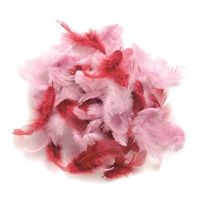 2x zakjes van 10 gram decoratie veren roze tinten